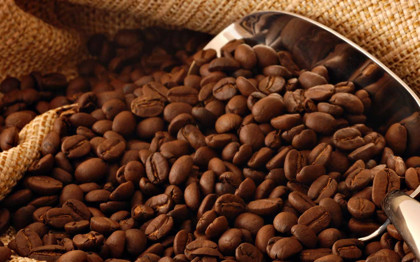 Freshly roasted Origin Coffee beans